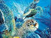 Игры Черепахи в океане