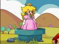 Игры Марио Защитник Принцессы